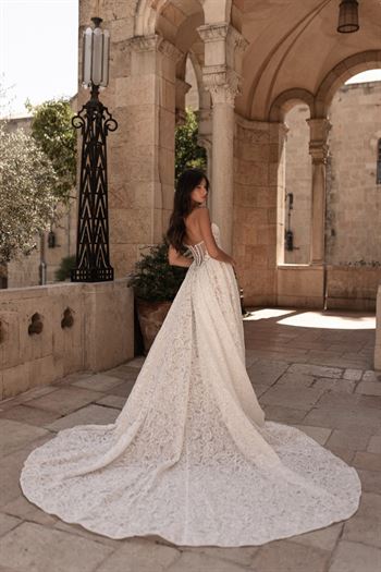ג'ולי וינו Mimosa